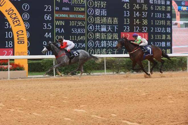 馬會傳真資料2024澳門,結構化評估推進_動態(tài)版79.737