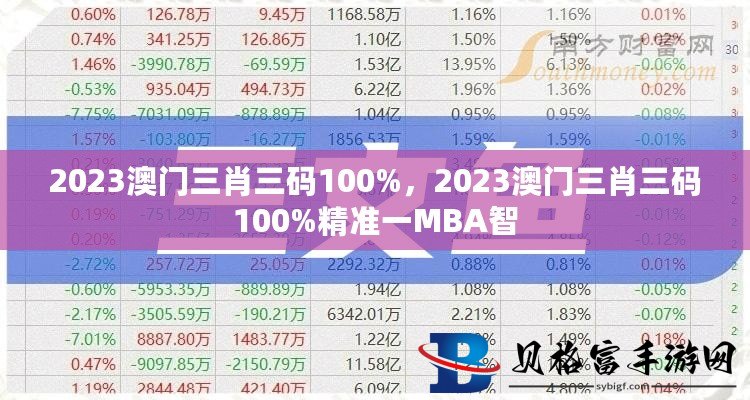 新澳門三中三碼精準(zhǔn)100%,詮釋解析落實(shí)_XR22.163