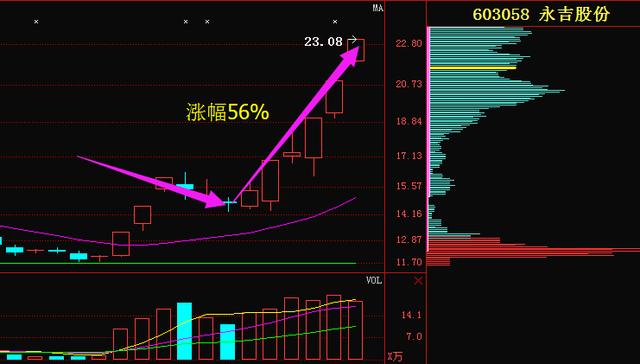澳門今晚上開的什么特馬,可靠解析評估_FHD62.912