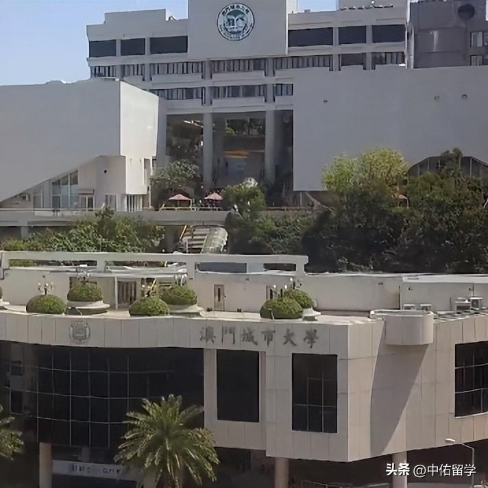 2024澳門(mén)天天開(kāi)好彩大全65期,創(chuàng)新解析執(zhí)行策略_戶外版13.732