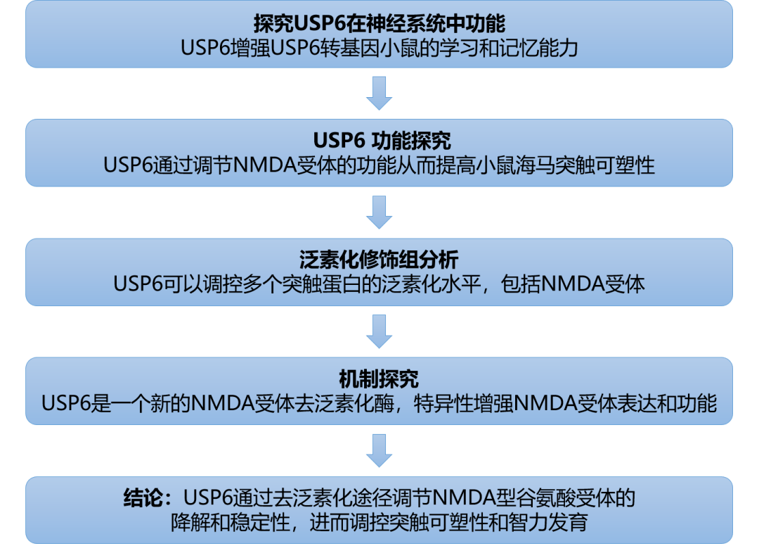 新澳精準(zhǔn)資料免費提供208期,高速響應(yīng)策略解析_kit84.226