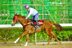 2024今晚澳門開特馬四不像,資源整合策略_android31.847