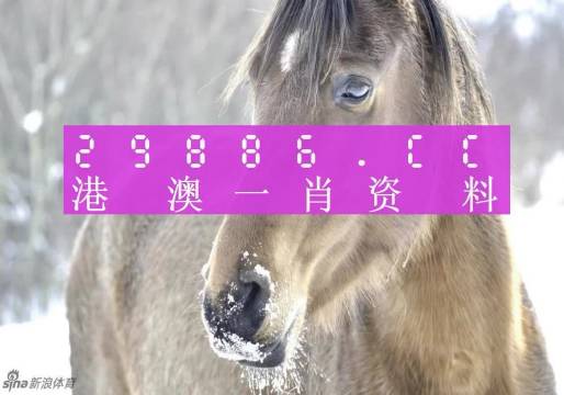 澳門一肖一特100精準(zhǔn)免費(fèi),精細(xì)設(shè)計(jì)方案_RX版31.98