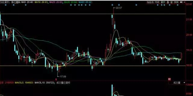 張江高科利好消息引領(lǐng)科技新時(shí)代新篇章