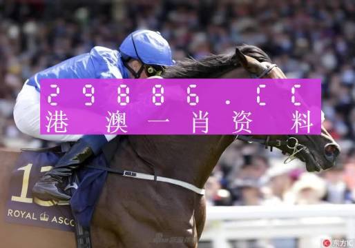 新澳門(mén)一肖一碼最新消息,實(shí)地解答解釋定義_LE版93.772