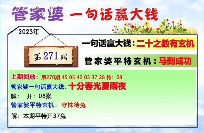 202管家婆一肖一碼,精細(xì)方案實施_D版93.546
