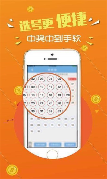 澳門精準(zhǔn)王中王免費(fèi)公開,快速解答設(shè)計(jì)解析_豪華版31.560