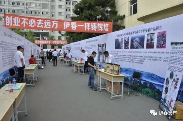 伊春招聘網(wǎng)最新招聘動態(tài)深度解讀與分析